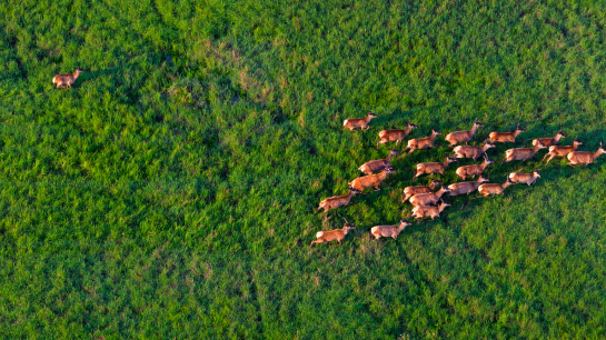 GVT-Exhibits--Card-Square