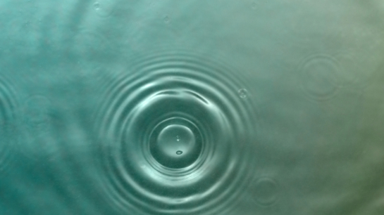 SmallCap-Exhibits--Card-Square