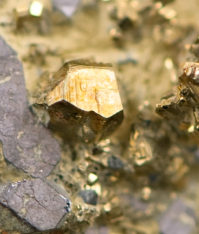GOLD MICRO BANNER