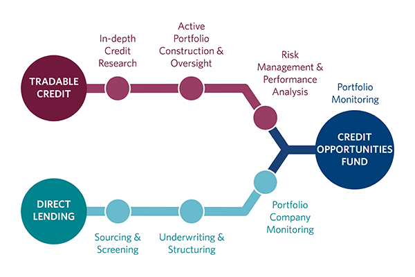 Our Process Graphic